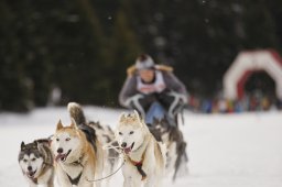 Lenzerheide 2013